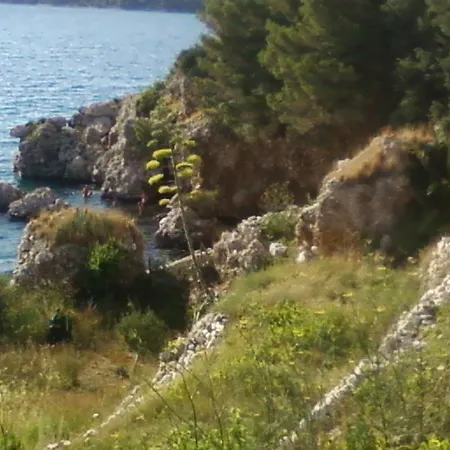 Veselka Podgora (Split-Dalmatia)