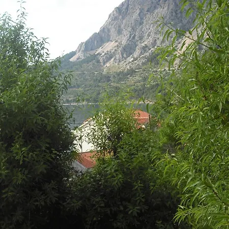 Veselka Podgora (Split-Dalmatia)